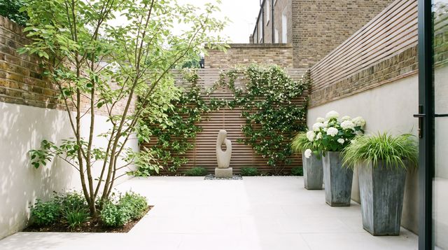 Small garden